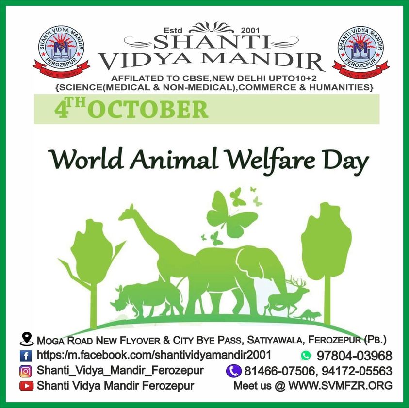 Read more about the article Happy World Animal Welfare Day